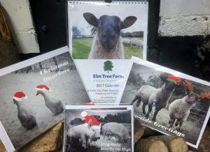 Elm Tree Farm Christmas cards and 2017 calendar